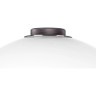 Настольная лампа LIGHTSTAR COLORE 805916 LED 2х4W LM 3000K кофейный/белый