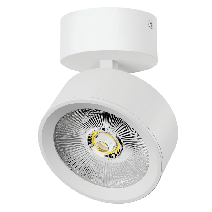 Светильник накладной LIGHTSTAR ALTA PRO A5646SO